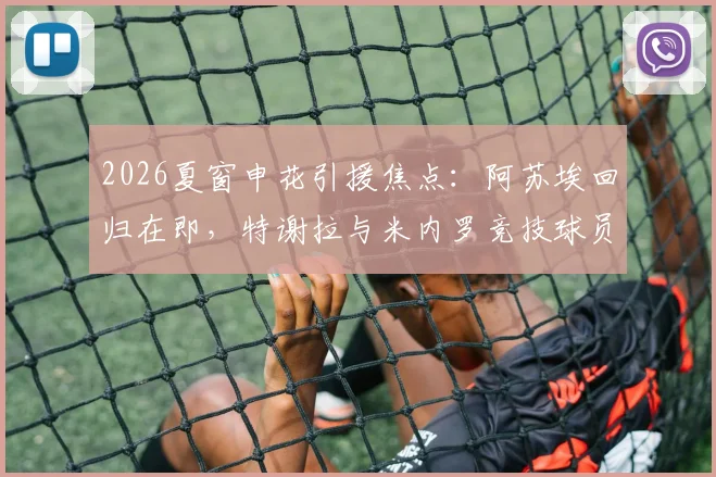 2026夏窗申花引援焦点：阿苏埃回归在即，特谢拉与米内罗竞技球员复出时间表成迷